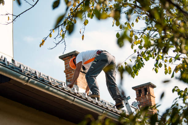 Roof Gutter Cleaning in Benton, IL