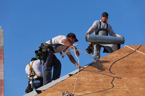Best Gutter Installation and Roofing  in Benton, IL